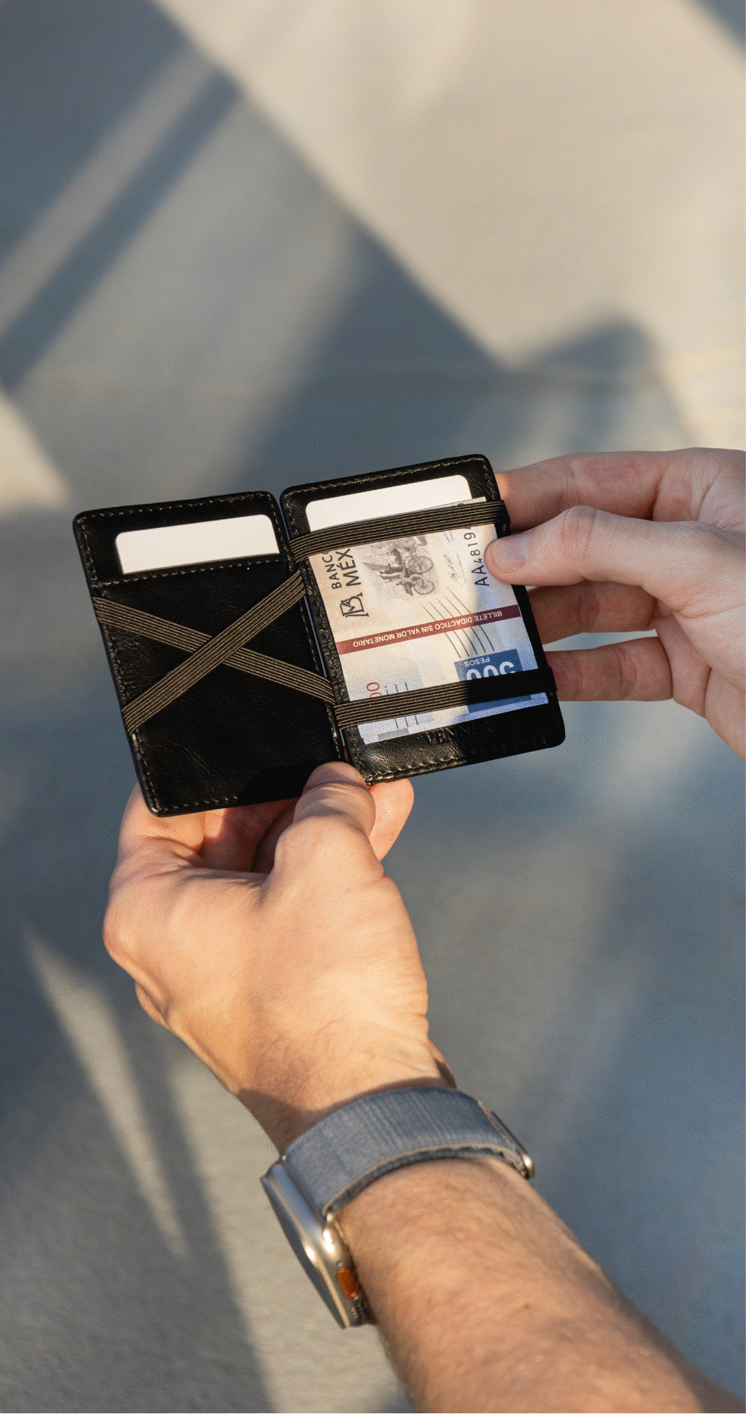 Magic Wallets